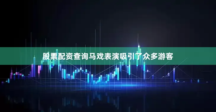 股票配资查询马戏表演吸引了众多游客