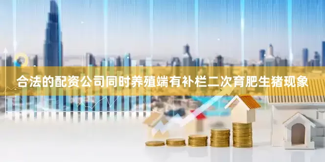 合法的配资公司同时养殖端有补栏二次育肥生猪现象