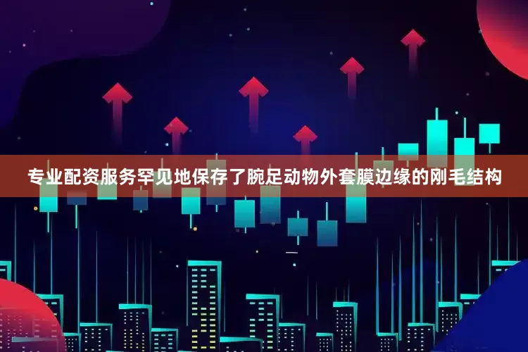 专业配资服务罕见地保存了腕足动物外套膜边缘的刚毛结构